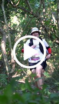 BIB:  <button type="button" onclick="openModal(28063702)" class="btn btn-primary btn-sm float-right" data-toggle="modal" data-target=".modal-high-quality">
                <i class="fa fa-download"></i> Download
                </button>